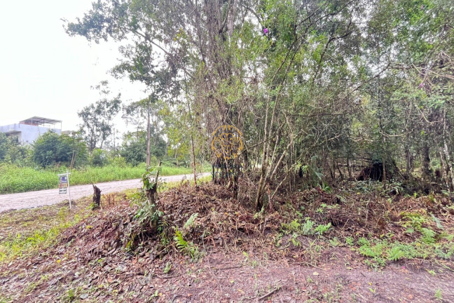Imagem Terreno à Venda, 375 m² em Pontal Do Norte - Itapoá Imagem Terreno à Venda, 375 m² em Pontal Do Norte - Itapoá