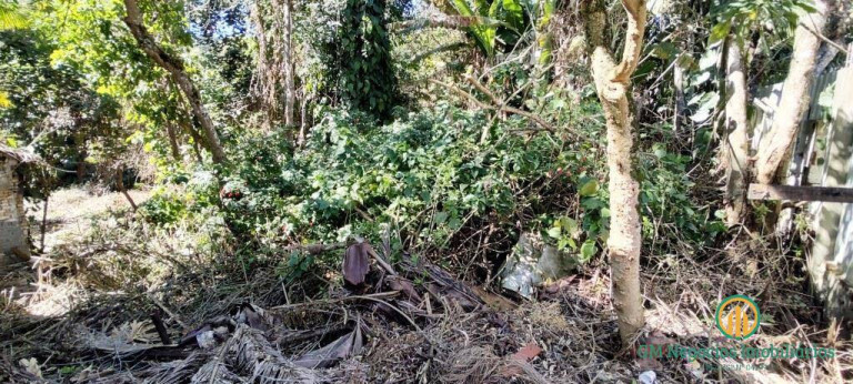 Imagem Terreno em Condomínio à Venda, 2.600 m² em Jardim Da Gloria - Cotia Imagem Terreno em Condomínio à Venda, 2.600 m² em Jardim Da Gloria - Cotia
