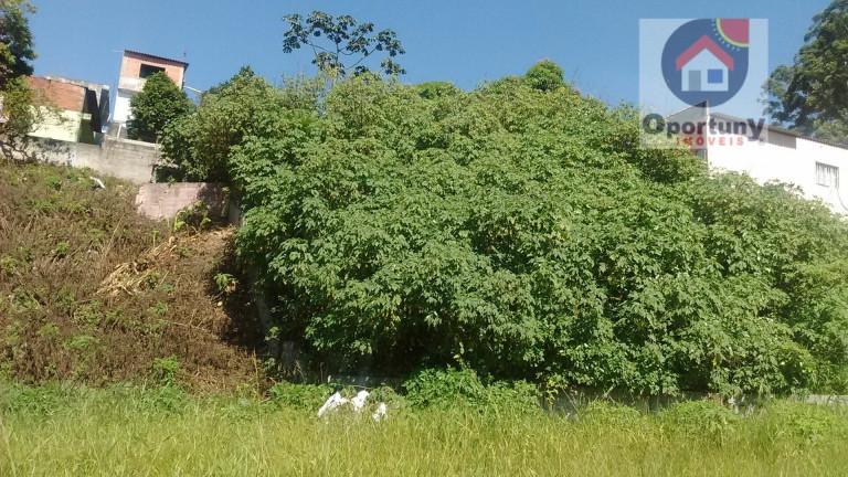 Imagem Terreno à Venda, 367 m² em Jardim Fortaleza - Guarulhos