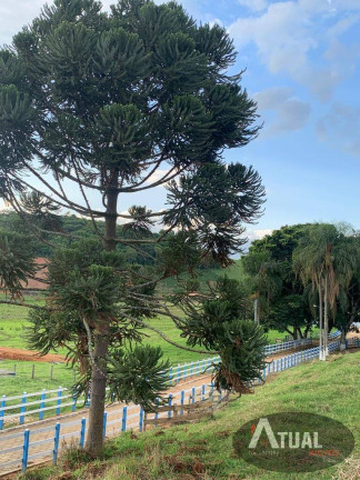 Imagem Fazenda à Venda, 900 m² em Morro Grande - Piranguinho