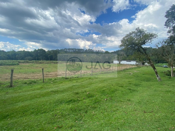 Imagem Imóvel com 6 Quartos à Venda, 3.000 m² em Distrito Industrial - Campina Grande Do Sul Imagem Imóvel com 6 Quartos à Venda, 3.000 m² em Distrito Industrial - Campina Grande Do Sul