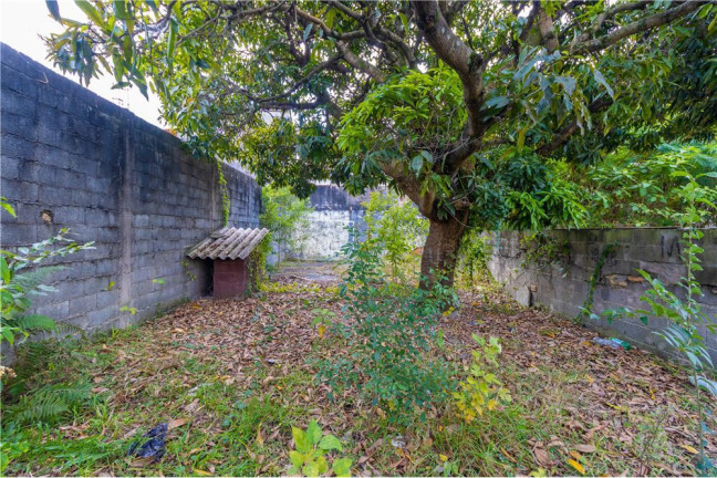 Imagem Terreno à Venda, em Vila Marieta - São Paulo Imagem Terreno à Venda, em Vila Marieta - São Paulo