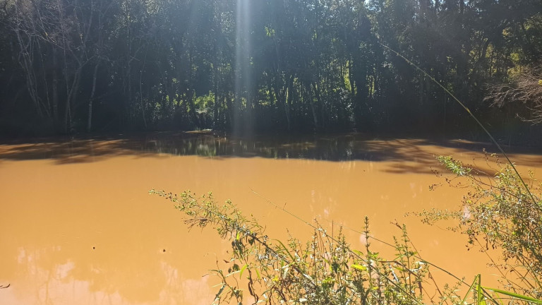 Imagem Fazenda à Venda, em Zona Rural - Araucaria Imagem Fazenda à Venda, em Zona Rural - Araucaria