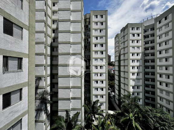 Imagem Apartamento com 3 Quartos à Venda, 74 m² em Jardim Marajoara - São Paulo Imagem Apartamento com 3 Quartos à Venda, 74 m² em Jardim Marajoara - São Paulo