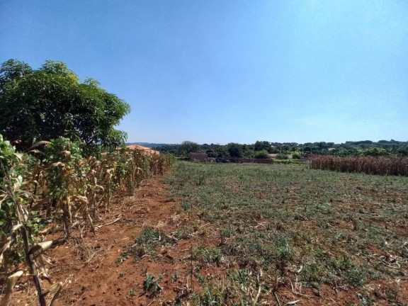Imagem Terreno à Venda, 2.000 m² em Vila Nossa Senhora Aparecida - Boracéia Imagem Terreno à Venda, 2.000 m² em Vila Nossa Senhora Aparecida - Boracéia