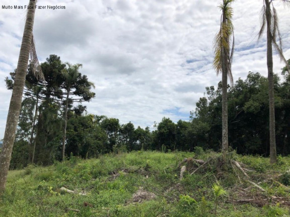 Imagem Terreno à Venda, 5 m² em Nove Colônias - Nova Petrópolis