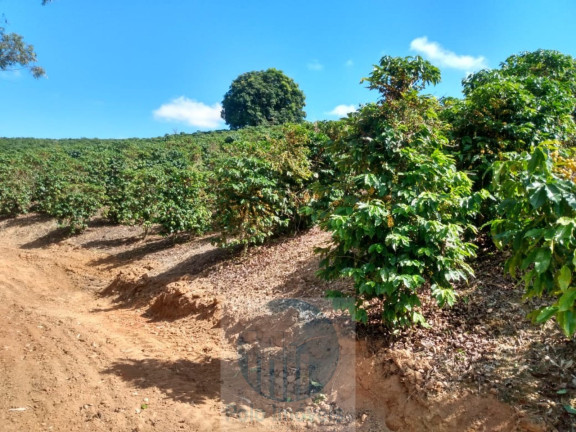 Imagem Imóvel à Venda, 4 m² em Rural - Jacuí Imagem Imóvel à Venda, 4 m² em Rural - Jacuí