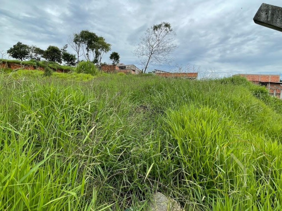 Imagem Terreno à Venda, 3.600 m² em Jardim Cerejeiras - Arujá Imagem Terreno à Venda, 3.600 m² em Jardim Cerejeiras - Arujá