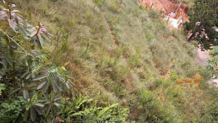 Imagem Terreno à Venda, 668 m² em V Cristina - Campos Do Jordão Imagem Terreno à Venda, 668 m² em V Cristina - Campos Do Jordão