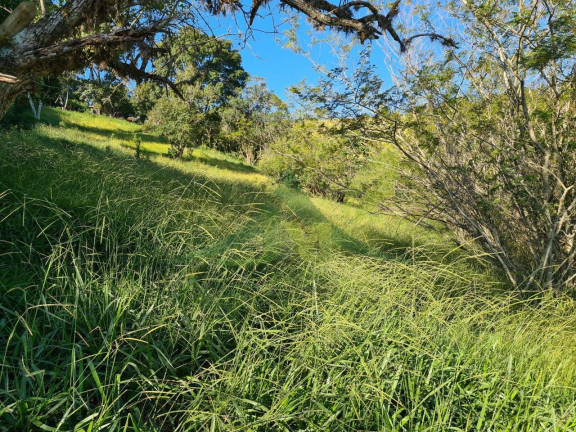 Imagem Terreno à Venda, 20.000 m² em Piracaia - Piracaia Imagem Terreno à Venda, 20.000 m² em Piracaia - Piracaia