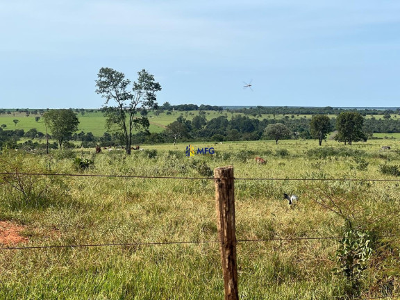 Imagem Chácara à Venda, em área Rural De Uberlândia - Uberlândia Imagem Chácara à Venda, em área Rural De Uberlândia - Uberlândia