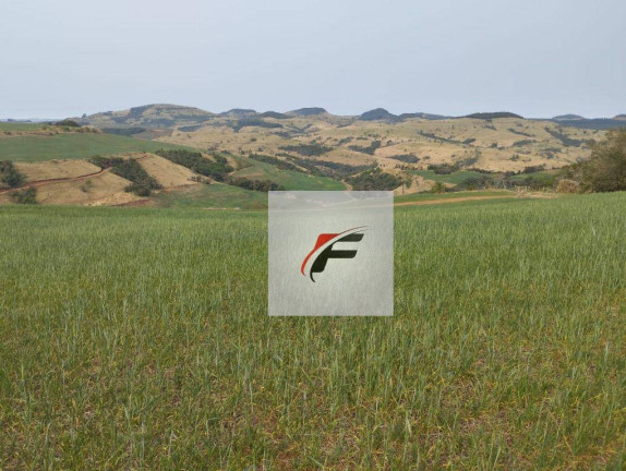 Fazenda à Venda, 5.759.600 m² em Linha Mangabeira - Santa Maria Do Oeste