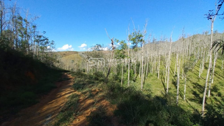 Imagem Imóvel à Venda, 1.477.200 m² em Bairro Bom Retiro - Bananal