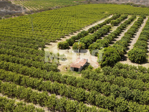 Imagem Fazenda à Venda, em área Rual - Petrolina Imagem Fazenda à Venda, em área Rual - Petrolina