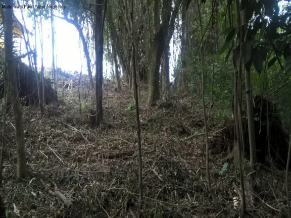 Imagem Terreno à Venda, 394 m² em Linha Olinda - Nova Petrópolis Imagem Terreno à Venda, 394 m² em Linha Olinda - Nova Petrópolis