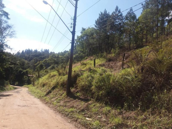 Imagem Terreno à Venda, 6.765 m² em Ouro Fino Paulista - Ribeirão Pires Imagem Terreno à Venda, 6.765 m² em Ouro Fino Paulista - Ribeirão Pires