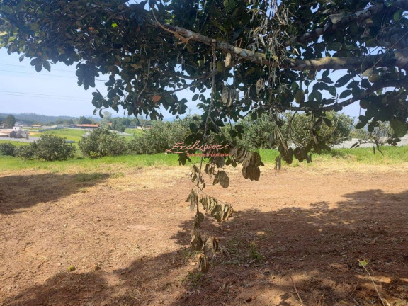 Chácara à Venda, 2.000 m²