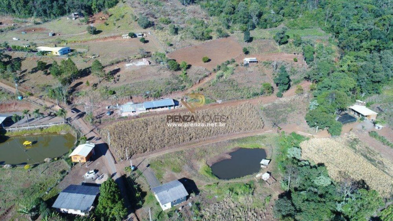 Imagem Terreno à Venda, 10.000 m² em Interior - Concórdia Imagem Terreno à Venda, 10.000 m² em Interior - Concórdia