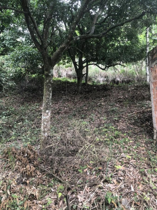 Imagem Terreno à Venda, 1.200 m² em Campo Grande - Rio De Janeiro Imagem Terreno à Venda, 1.200 m² em Campo Grande - Rio De Janeiro