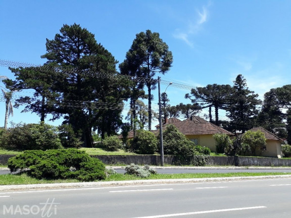 Imagem Terreno à Venda, 4.800 m² em Avenida Central - Gramado Imagem Terreno à Venda, 4.800 m² em Avenida Central - Gramado