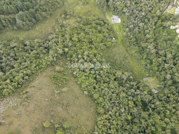 Imagem Imóvel à Venda, 162.000 m² em Região Do Alto Do Capivari - Campos Do Jordão Imagem Imóvel à Venda, 162.000 m² em Região Do Alto Do Capivari - Campos Do Jordão
