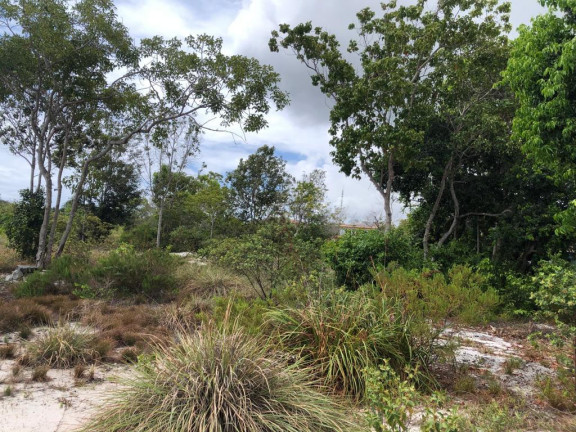 Imagem Terreno à Venda, 700 m² em Praia Do Forte - Mata De São João Imagem Terreno à Venda, 700 m² em Praia Do Forte - Mata De São João