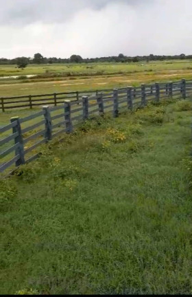 Imagem Fazenda à Venda, 8 m² em Poconé Imagem Fazenda à Venda, 8 m² em Poconé