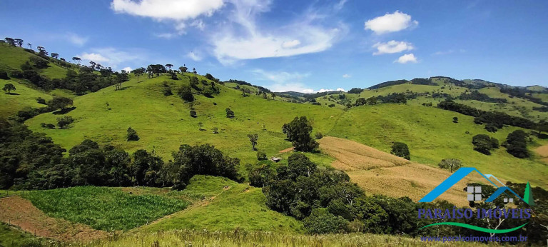 Imagem Chácara à Venda, 24 m² em Centro - Paraisópolis Imagem Chácara à Venda, 24 m² em Centro - Paraisópolis