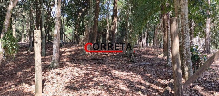 Imagem Casa com 3 Quartos à Venda, 9.000 m² em Paruru - Ibiúna Imagem Casa com 3 Quartos à Venda, 9.000 m² em Paruru - Ibiúna