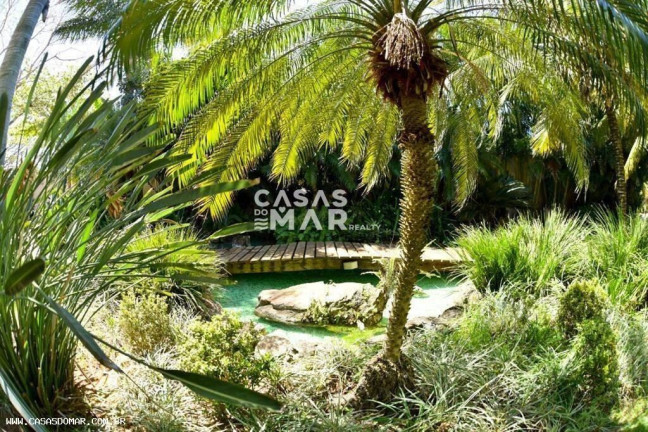 Imagem Casa com 4 Quartos à Venda, 400 m² em Geribá - Armação Dos Búzios Imagem Casa com 4 Quartos à Venda, 400 m² em Geribá - Armação Dos Búzios