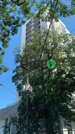 Imagem Apartamento com 2 Quartos à Venda, 81 m² em Saúde - São Paulo