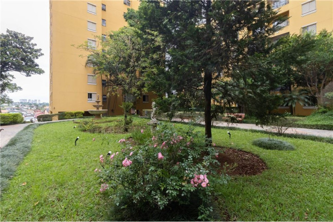 Imagem Apartamento com 3 Quartos à Venda, 64 m² em Vila Sônia - São Paulo