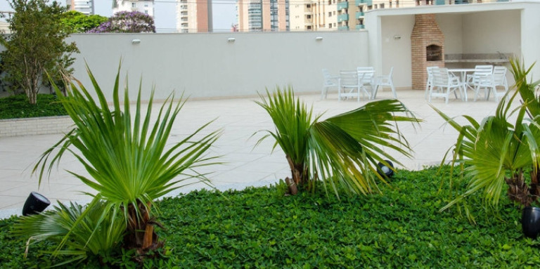 Imagem Apartamento com 2 Quartos à Venda, 60 m² em Campestre - Santo André Imagem Apartamento com 2 Quartos à Venda, 60 m² em Campestre - Santo André
