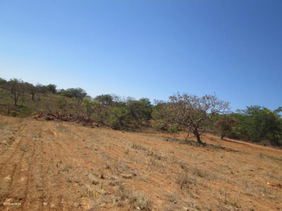 Imagem Terreno à Venda, 2.000 m² em Pompeu - Pompéu Imagem Terreno à Venda, 2.000 m² em Pompeu - Pompéu