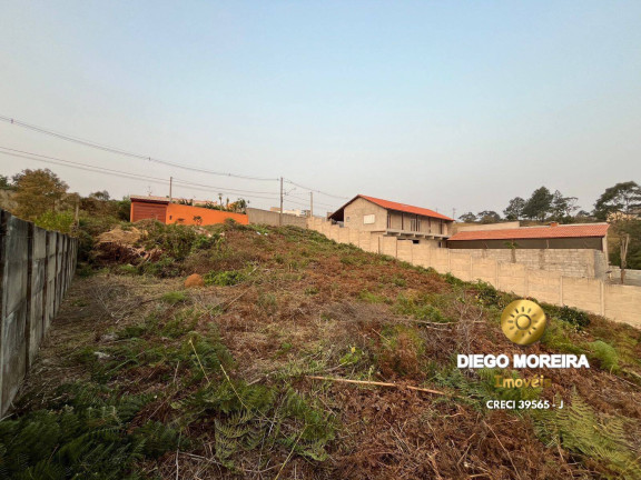 Imagem Chácara com 3 Quartos à Venda, 116 m² em Terra Preta - Mairiporã Imagem Chácara com 3 Quartos à Venda, 116 m² em Terra Preta - Mairiporã