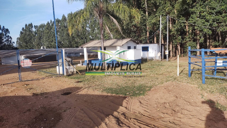Imagem Fazenda à Venda, 38 m² em Uberaba Imagem Fazenda à Venda, 38 m² em Uberaba