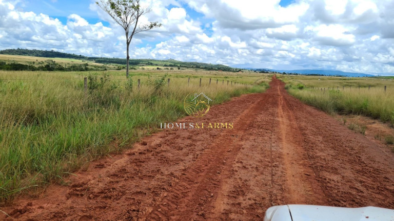 Imagem Imóvel com 3 Quartos à Venda, 43.000 m² em Zona Rural - Aurora Do Pará Imagem Imóvel com 3 Quartos à Venda, 43.000 m² em Zona Rural - Aurora Do Pará