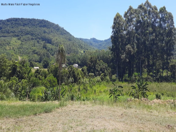 Imagem Terreno à Venda, 532 m² em Picada Café - Picada Café