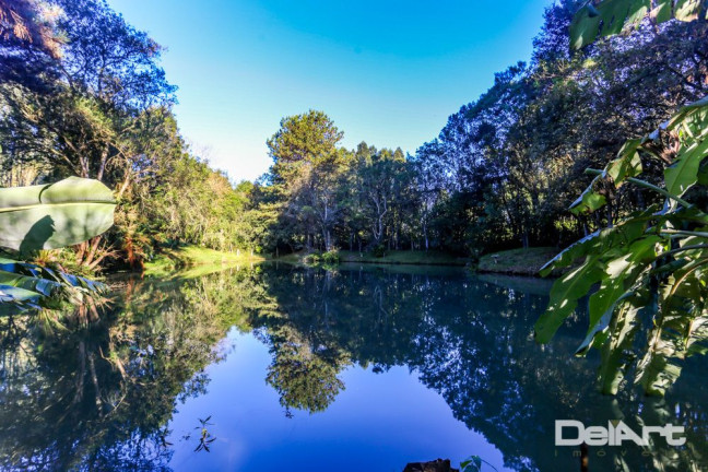 Imagem Chácara com 4 Quartos à Venda, 200 m² em área Rural - Mafra