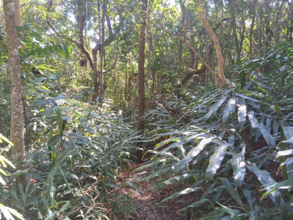 Imagem Imóvel à Venda, 20.000 m² em Condomínio Rural Clube Campestre De Caeté Juca Vieira - Caeté Imagem Imóvel à Venda, 20.000 m² em Condomínio Rural Clube Campestre De Caeté Juca Vieira - Caeté