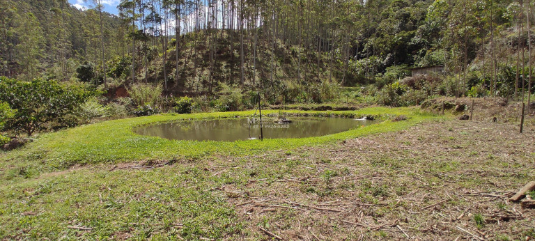 Imagem Imóvel com 3 Quartos à Venda, em Beija Flor - Major Gercino Sc Imagem Imóvel com 3 Quartos à Venda, em Beija Flor - Major Gercino Sc