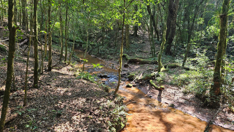 Imagem Fazenda à Venda, em Capela Velha - Araucaria Imagem Fazenda à Venda, em Capela Velha - Araucaria