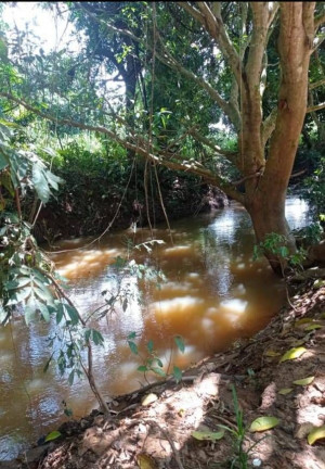 Imagem Chácara com 4 Quartos à Venda, 10.000 m²