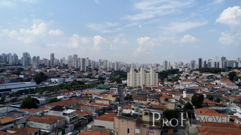 Imagem Apartamento com 2 Quartos à Venda, 51 m² em Saúde - São Paulo Imagem Apartamento com 2 Quartos à Venda, 51 m² em Saúde - São Paulo