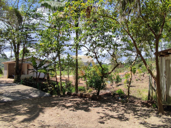 Imagem Fazenda à Venda, 174 m² em Aratingauba - Imaruí Imagem Fazenda à Venda, 174 m² em Aratingauba - Imaruí