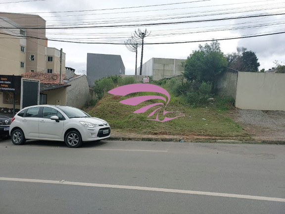 Imagem Terreno à Venda, 500 m² em Bom Jesus - São José Dos Pinhais Imagem Terreno à Venda, 500 m² em Bom Jesus - São José Dos Pinhais