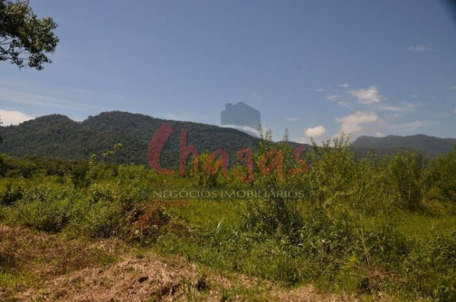 Imagem Terreno à Venda, 3.696 m² em Barranco Alto - Caraguatatuba