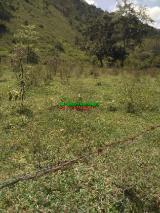 Imagem Chácara à Venda, 24.200 m² em São Francisco Xavier - São José Dos Campos Imagem Chácara à Venda, 24.200 m² em São Francisco Xavier - São José Dos Campos