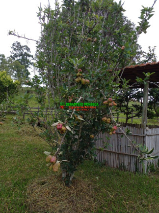 Imagem Chácara à Venda, 14 m² em área Rural De Guaratinguetá - Guaratinguetá Imagem Chácara à Venda, 14 m² em área Rural De Guaratinguetá - Guaratinguetá