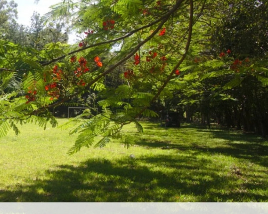 Imagem Terreno à Venda ou Locação, 800 m² em Residencial Sol Nascente - São Paulo Imagem Terreno à Venda ou Locação, 800 m² em Residencial Sol Nascente - São Paulo